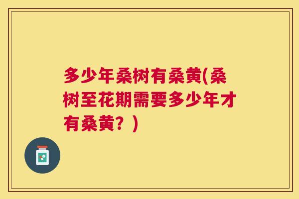 多少年桑树有桑黄(桑树至花期需要多少年才有桑黄？)