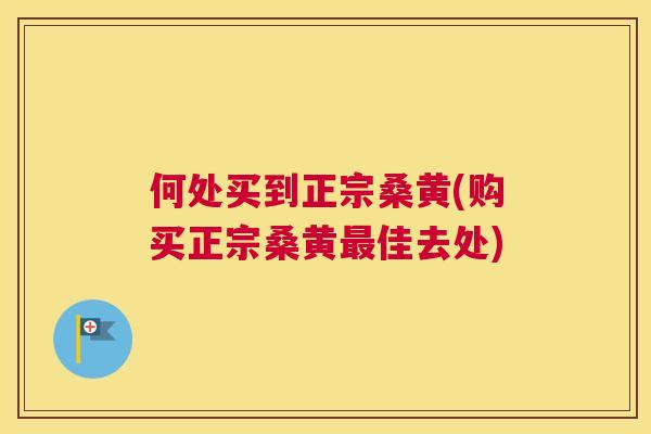何处买到正宗桑黄(购买正宗桑黄佳去处)