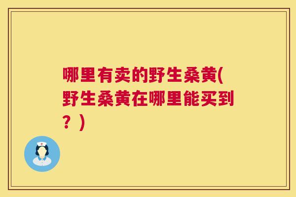 哪里有卖的野生桑黄(野生桑黄在哪里能买到？)