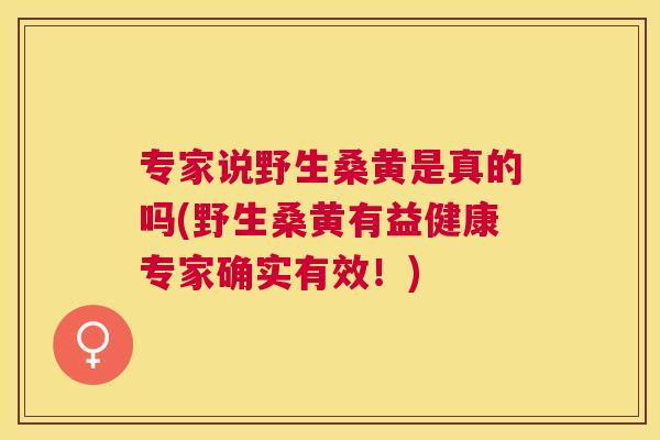 专家说野生桑黄是真的吗(野生桑黄有益健康专家确实有效！)