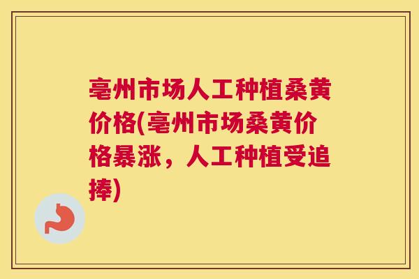 亳州市场人工种植桑黄价格(亳州市场桑黄价格暴涨，人工种植受追捧)