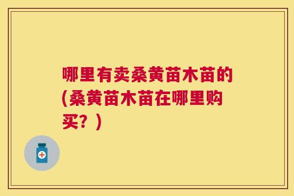 哪里有卖桑黄苗木苗的(桑黄苗木苗在哪里购买？)