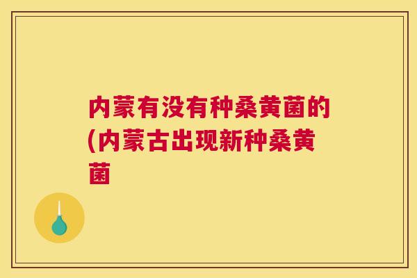 内蒙有没有种桑黄菌的(内蒙古出现新种桑黄菌