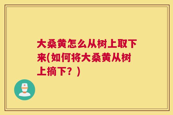 大桑黄怎么从树上取下来(如何将大桑黄从树上摘下？)