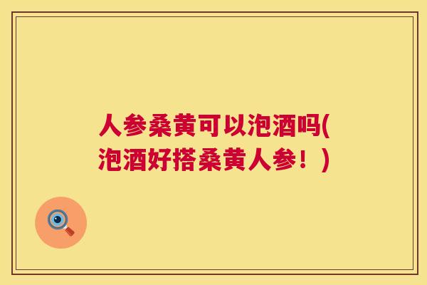 人参桑黄可以泡酒吗(泡酒好搭桑黄人参！)
