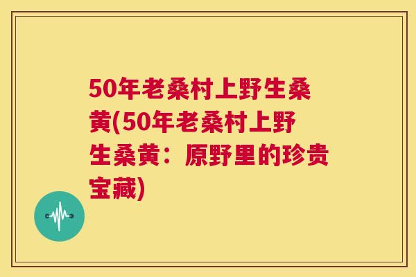 50年老桑村上野生桑黄(50年老桑村上野生桑黄：原野里的珍贵宝藏)