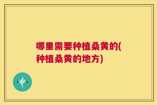 哪里需要种植桑黄的(种植桑黄的地方)