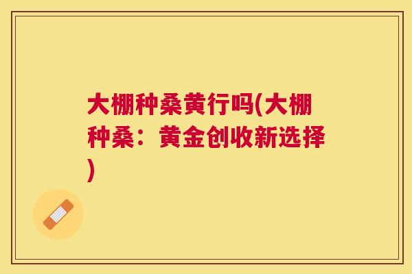 大棚种桑黄行吗(大棚种桑：黄金创收新选择)