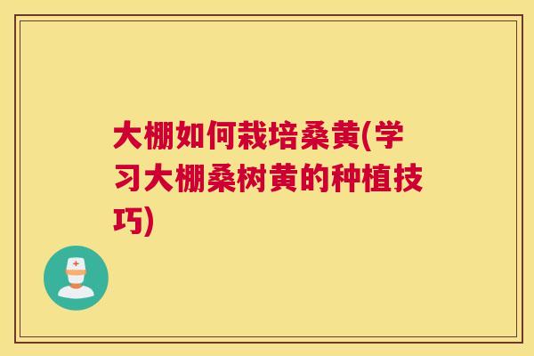 大棚如何栽培桑黄(学习大棚桑树黄的种植技巧)