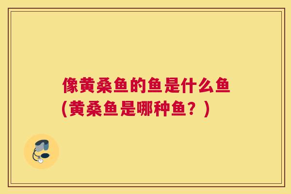像黄桑鱼的鱼是什么鱼(黄桑鱼是哪种鱼？)