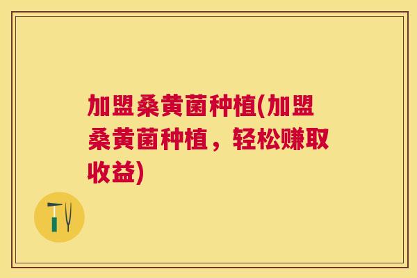 加盟桑黄菌种植(加盟桑黄菌种植，轻松赚取收益)