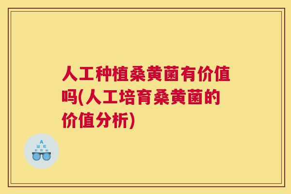 人工种植桑黄菌有价值吗(人工培育桑黄菌的价值分析)