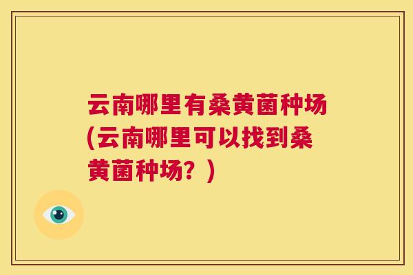 云南哪里有桑黄菌种场(云南哪里可以找到桑黄菌种场？)