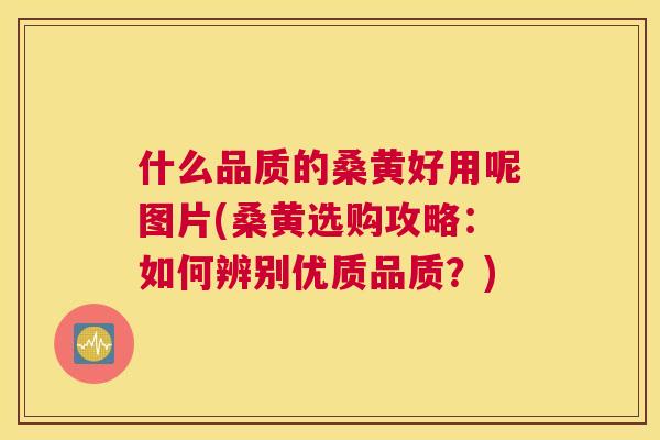 什么品质的桑黄好用呢图片(桑黄选购攻略：如何辨别优质品质？)