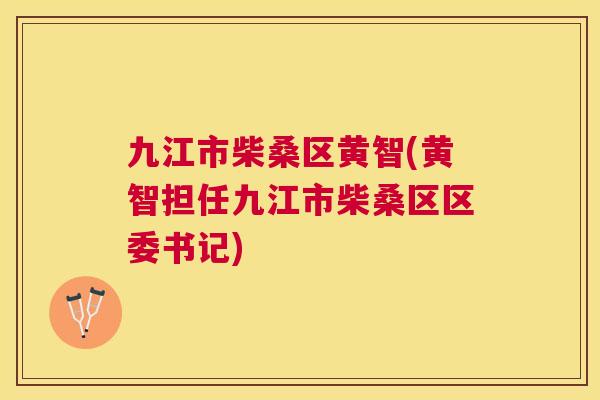 九江市柴桑区黄智(黄智担任九江市柴桑区区委书记)