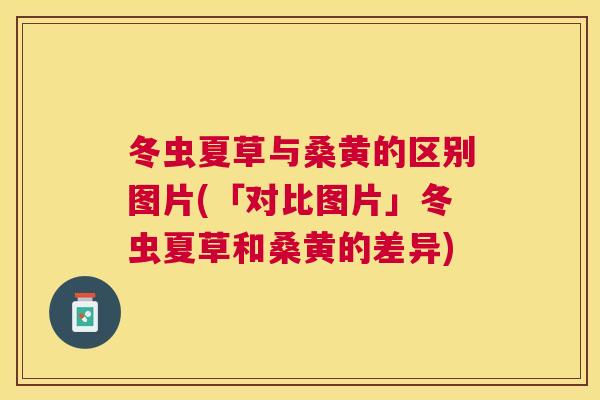 冬虫夏草与桑黄的区别图片(「对比图片」冬虫夏草和桑黄的差异)