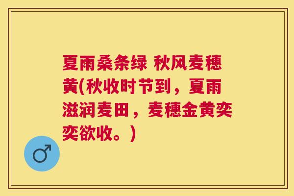 夏雨桑条绿 秋风麦穗黄(秋收时节到，夏雨滋润麦田，麦穗金黄奕奕欲收。)