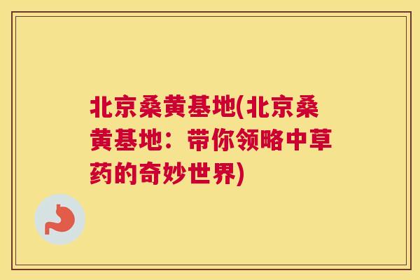 北京桑黄基地(北京桑黄基地：带你领略中草药的奇妙世界)