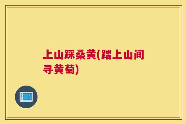 上山踩桑黄(踏上山间寻黄萄)