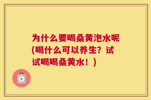 为什么要喝桑黄泡水呢(喝什么可以养生？试试喝喝桑黄水！)