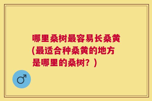 哪里桑树容易长桑黄(适合种桑黄的地方是哪里的桑树？)
