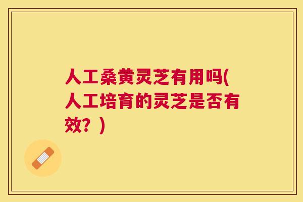人工桑黄灵芝有用吗(人工培育的灵芝是否有效？)