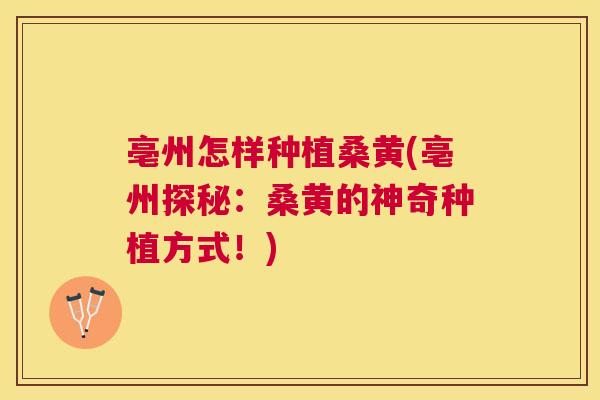 亳州怎样种植桑黄(亳州探秘：桑黄的神奇种植方式！)