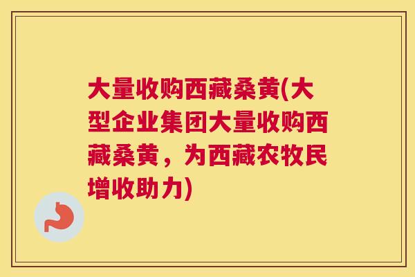 大量收购西藏桑黄(大型企业集团大量收购西藏桑黄，为西藏农牧民增收助力)