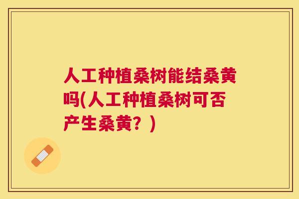 人工种植桑树能结桑黄吗(人工种植桑树可否产生桑黄？)