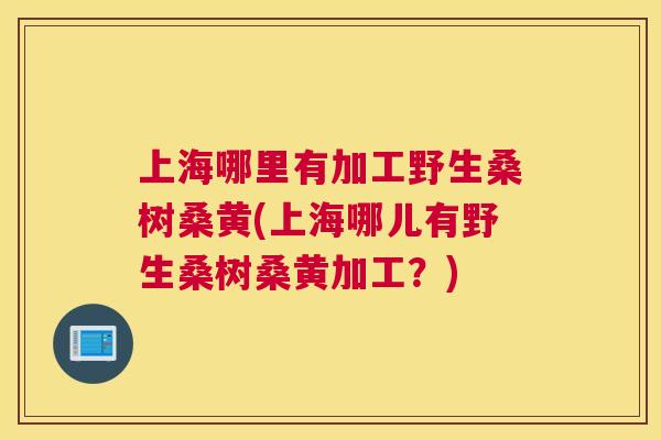 上海哪里有加工野生桑树桑黄(上海哪儿有野生桑树桑黄加工？)
