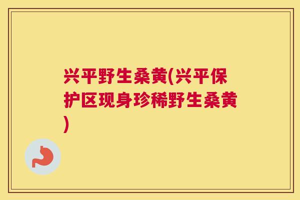 兴平野生桑黄(兴平保护区现身珍稀野生桑黄)
