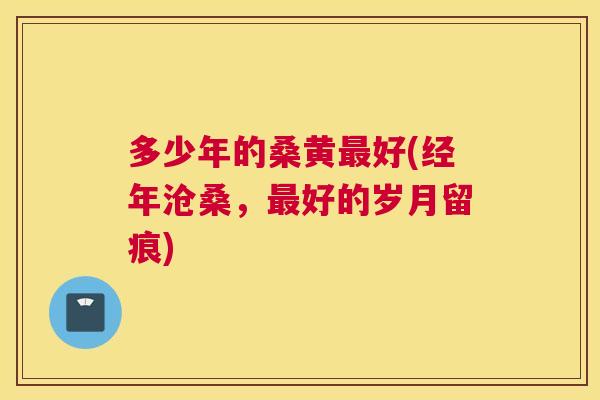 多少年的桑黄好(经年沧桑，好的岁月留痕)