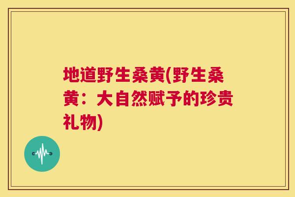 地道野生桑黄(野生桑黄：大自然赋予的珍贵礼物)