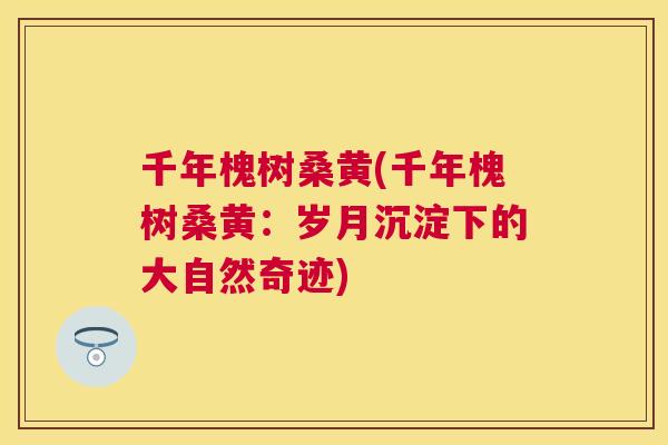千年槐树桑黄(千年槐树桑黄：岁月沉淀下的大自然奇迹)