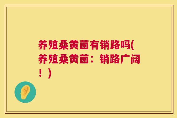 养殖桑黄菌有销路吗(养殖桑黄菌：销路广阔！)