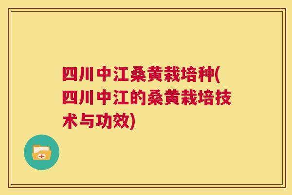 四川中江桑黄栽培种(四川中江的桑黄栽培技术与功效)