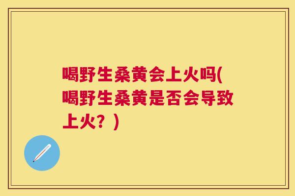 喝野生桑黄会上火吗(喝野生桑黄是否会导致上火？)