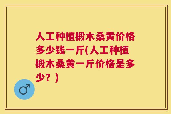 人工种植椴木桑黄价格多少钱一斤(人工种植椴木桑黄一斤价格是多少？)
