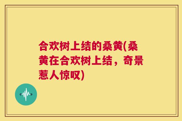 合欢树上结的桑黄(桑黄在合欢树上结，奇景惹人惊叹)