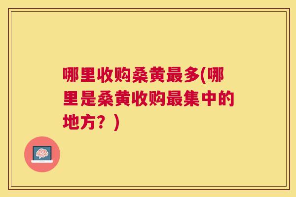 哪里收购桑黄多(哪里是桑黄收购集中的地方？)
