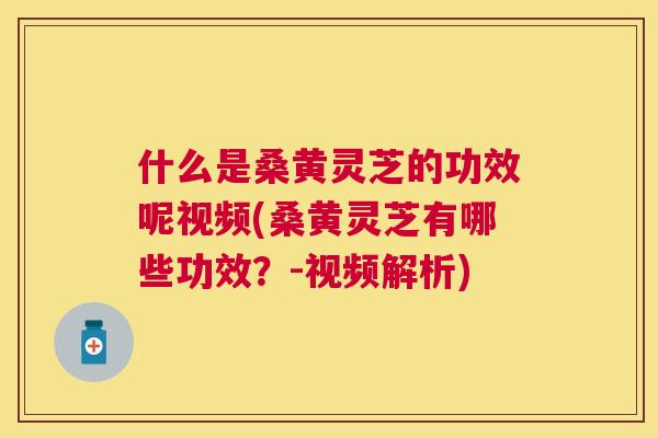 什么是桑黄灵芝的功效呢视频(桑黄灵芝有哪些功效？-视频解析)