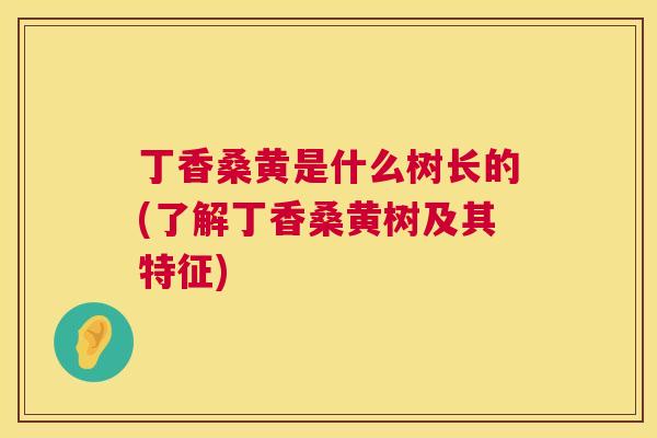 丁香桑黄是什么树长的(了解丁香桑黄树及其特征)