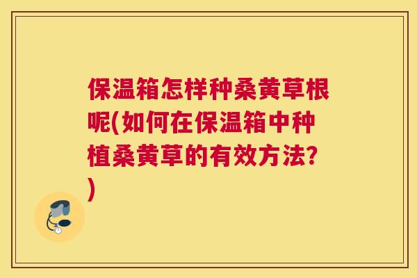 保温箱怎样种桑黄草根呢(如何在保温箱中种植桑黄草的有效方法？)