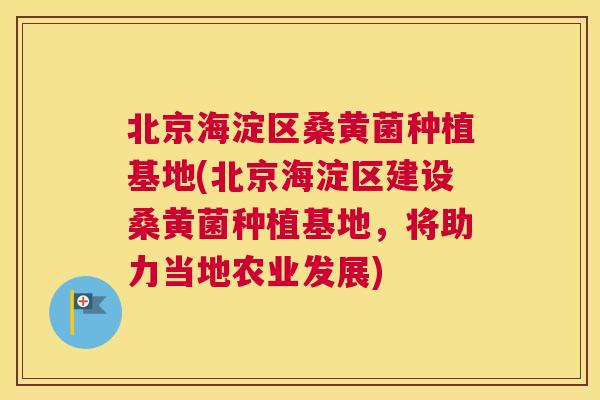 北京海淀区桑黄菌种植基地(北京海淀区建设桑黄菌种植基地，将助力当地农业发展)