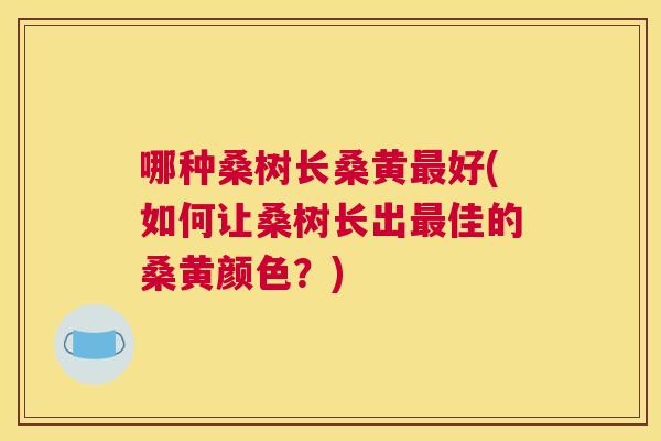 哪种桑树长桑黄好(如何让桑树长出佳的桑黄颜色？)