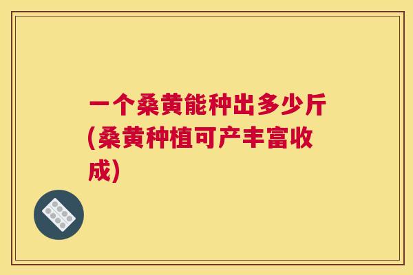 一个桑黄能种出多少斤(桑黄种植可产丰富收成)