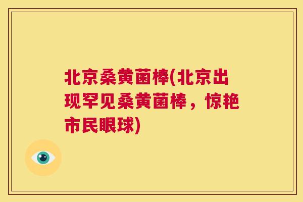 北京桑黄菌棒(北京出现罕见桑黄菌棒，惊艳市民眼球)