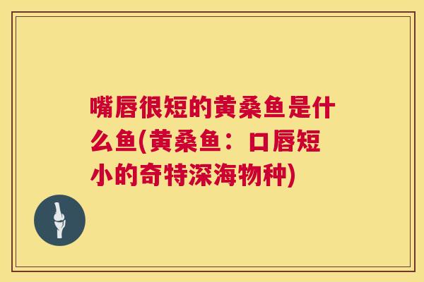嘴唇很短的黄桑鱼是什么鱼(黄桑鱼：口唇短小的奇特深海物种)