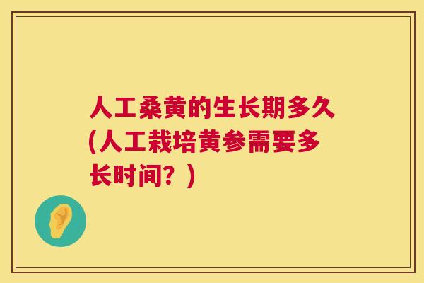 人工桑黄的生长期多久(人工栽培黄参需要多长时间？)