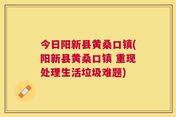 今日阳新县黄桑口镇(阳新县黄桑口镇 重现处理生活垃圾难题)